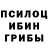 Псилоцибиновые грибы мицелий cc xx