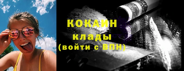 дживик Ельня