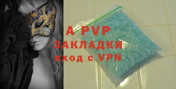 дживик Ельня