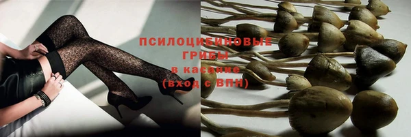 дживик Ельня