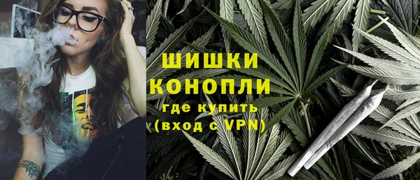 дживик Ельня