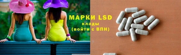 дживик Ельня