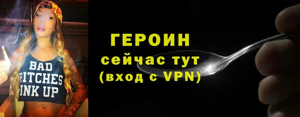 дживик Ельня