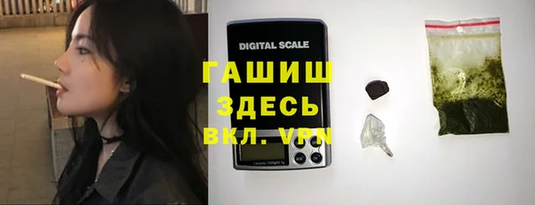 дживик Ельня