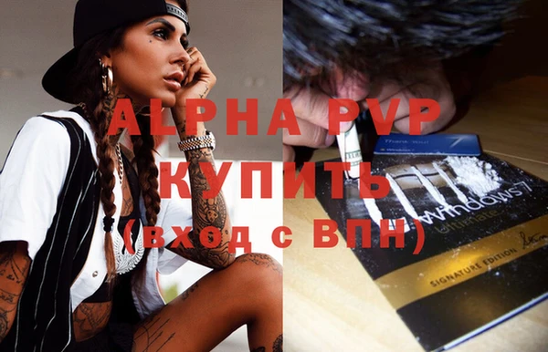 дживик Ельня