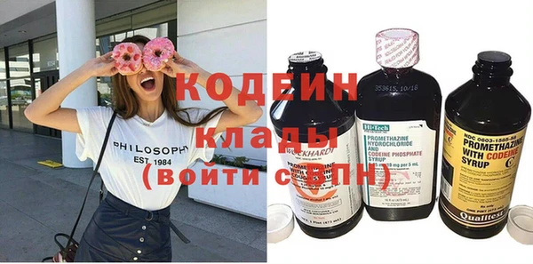 дживик Ельня