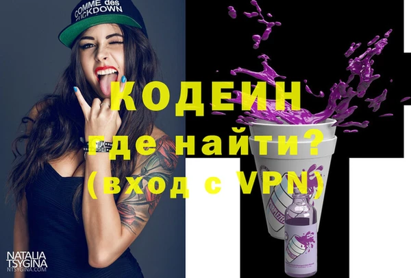 дживик Ельня