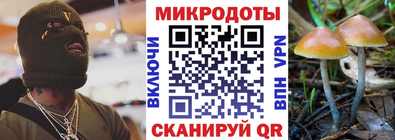 где продают   Заволжье  Галлюциногенные грибы прущие грибы 