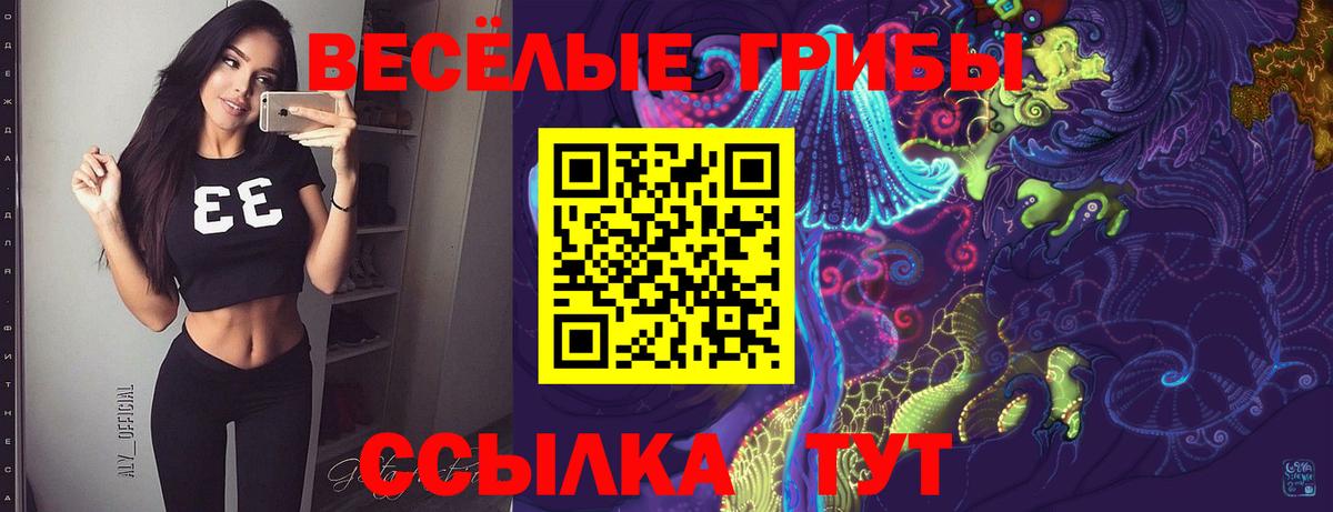 Галлюциногенные грибы Cubensis Заволжье
